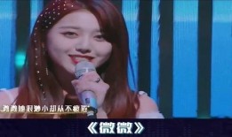 刘大锤爆料四字明星视频,四字明星视频引发热议