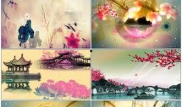 踏歌爆料视频在线观看,揭秘幕后精彩瞬间